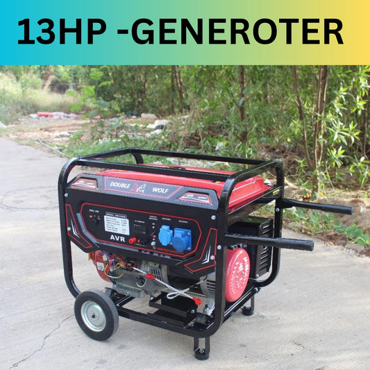 Generator Model DW-5500E