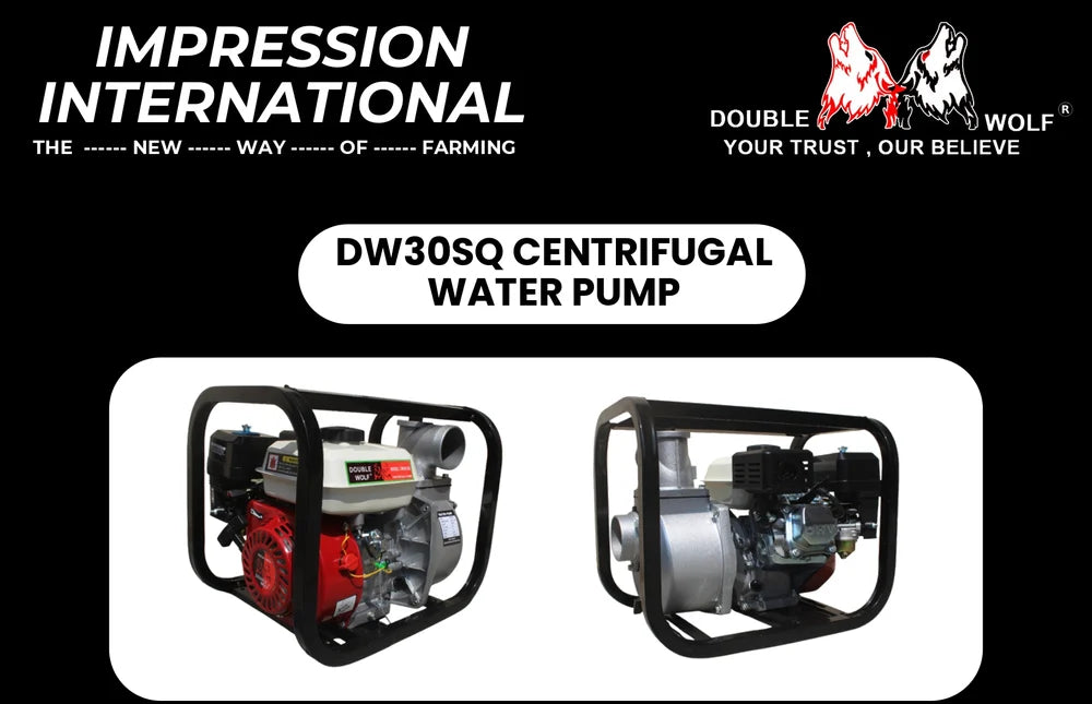 DW30SQ CENTRIFUGAL WATER PUMP