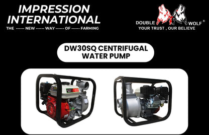 DW30SQ CENTRIFUGAL WATER PUMP